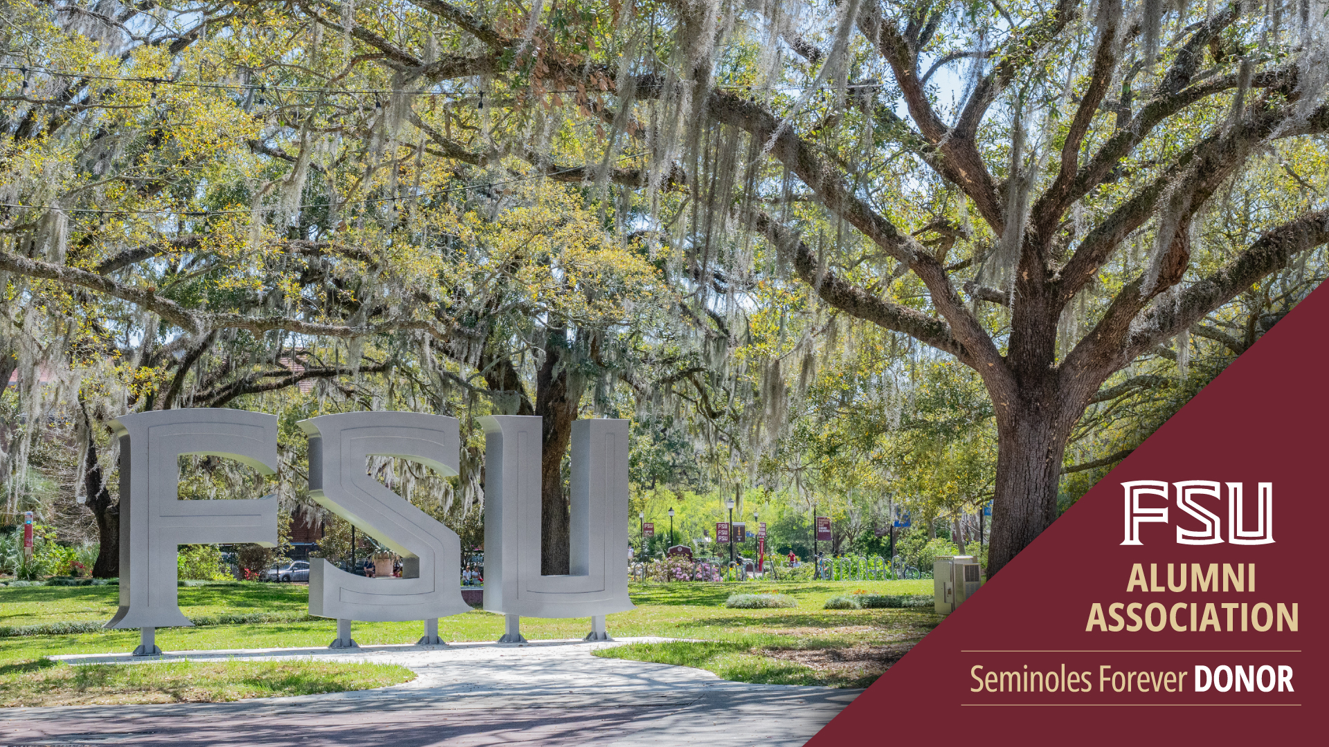 Zoom background of FSU sign